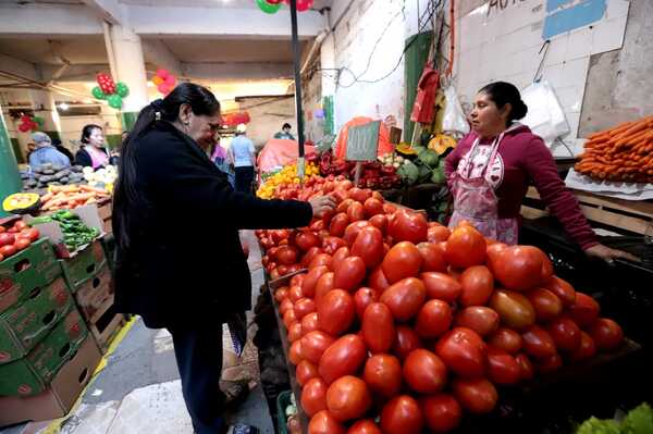 En 2022, actividad económica cayó 0,5%, según BCP - Revista PLUS