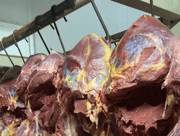 Carne equina: "Es legal la venta siempre que esté permitida", explican · Radio Monumental 1080 AM