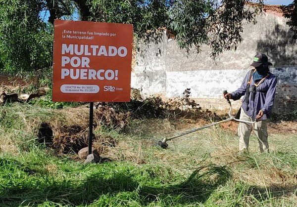 ¿Qué factores incrementan el riesgo de contar con criaderos de mosquitos? - Nacionales - ABC Color