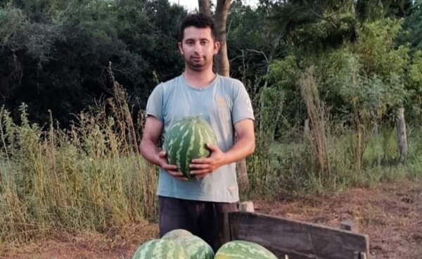 Miembro del Comité Juvenil de la Deag, con abundante cultivo de sandía - Noticiero Paraguay