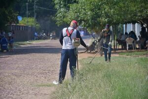 Arbovirosis: piden atacar problema de raíz en Misiones - Nacionales - ABC Color