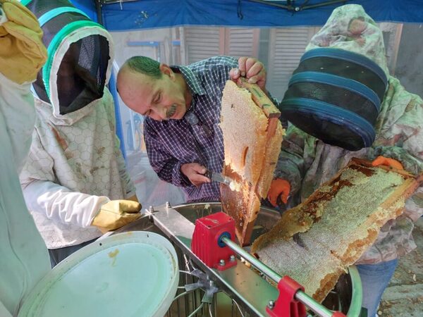 Apicultores de Ayolas inician cosecha anual con muy buenos resultados