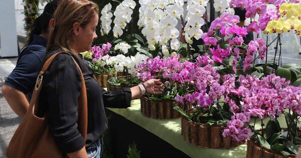 La Nación / Flori Feria, el lugar donde vas a encontrar el regalo perfecto para tu amor