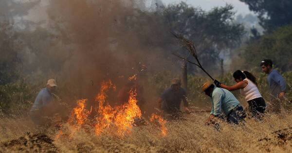 La Nación / Gobierno de Chile insta a reformar la industria forestal tras los incendios