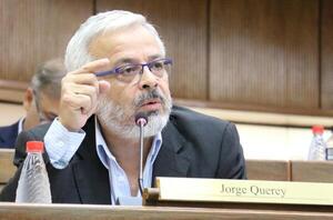 Querey: “Todos debemos estar en condiciones de aceptar si alguien llega a declinar su candidatura” - ADN Digital