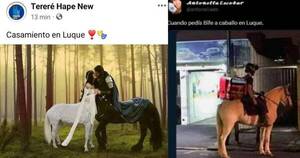 La Nación / Incautación de carne de caballo en Luque desata ola de memes en redes