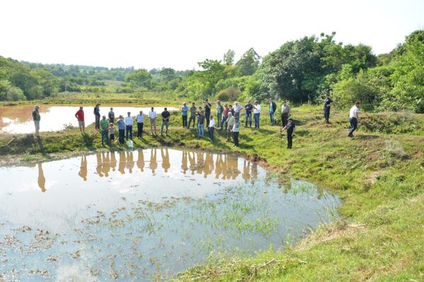 Entregan alevines a piscicultores de San Juan del Paraná en Itapúa - .::Agencia IP::.