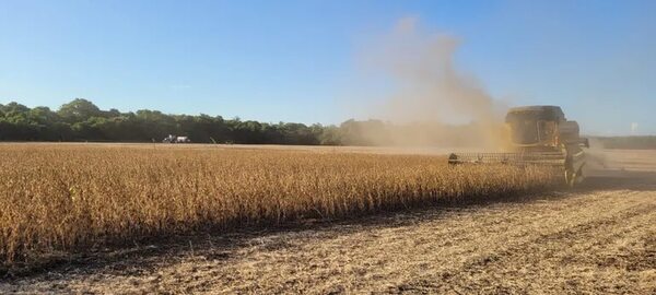 Cosecha de soja: El campo tiene esperanza en lluvias generalizadas - Economía - ABC Color