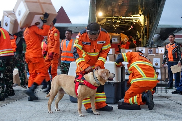 Ayuda humanitaria llega de a poco a Turquía y Siria tras fuerte sismo - .::Agencia IP::.