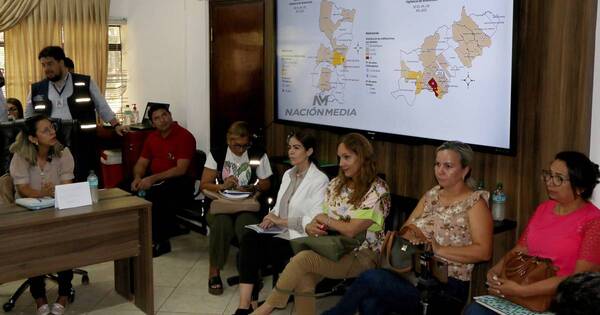 La Nación / Chikungunya: no hay solución a falta de reactivos en laboratorios del Este