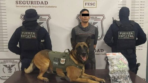 Un tiroteo de cinco horas en México deja un agente muerto y a tres heridos