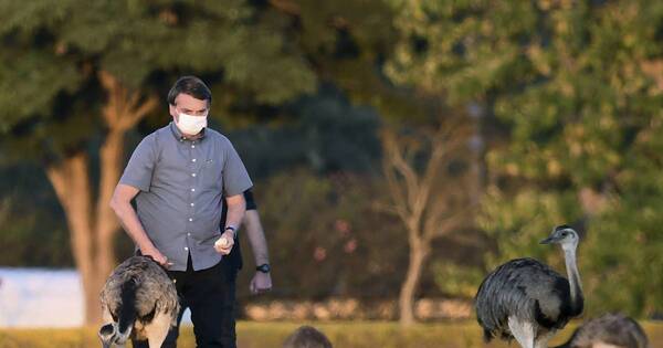 La Nación / Lula y Bolsonaro se acusan por muerte de animales en residencia presidencial