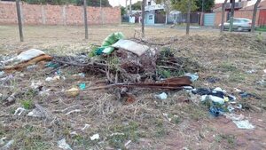 Vecinos apelan a las hamburgueseadas para limpiar calles de San Lorenzo - Nacionales - ABC Color