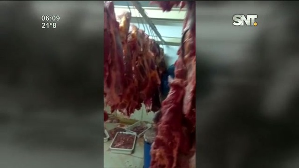 Vendían carne de caballo como vacuna - SNT