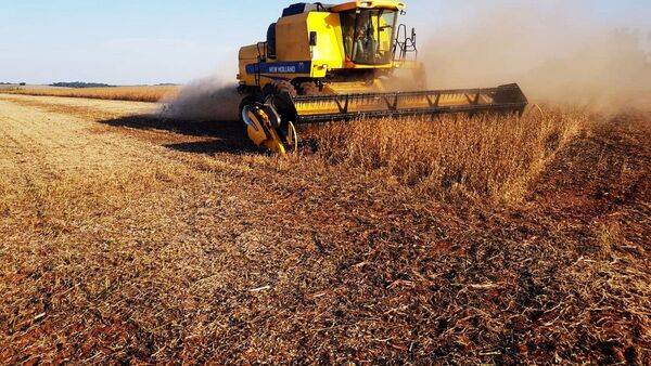Sector agropecuario tendrá un mejor desempeño en este 2023