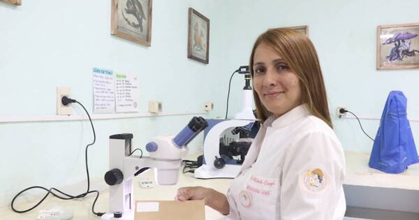 La Nación / Importancia de los hongos para el ecosistema