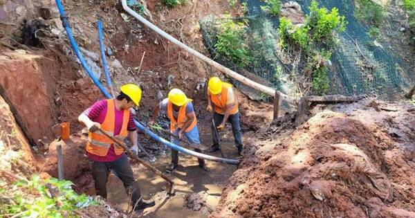 La Nación / Economía verde: Ventajas y oportunidades que da para el crecimiento