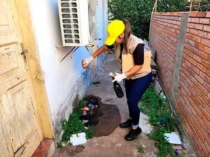Chikunguña: una semana basta para que la casa se llene de mosquitos - Nacionales - ABC Color