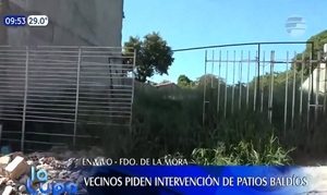Baldíos generan preocupación por proliferación de mosquitos