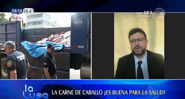 La carne equina tiene menos grasa y se digiere más rápido, según nutricionista
