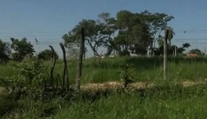 Vecinos de Fernando de la Mora piden a la Municipalidad limpiar patios baldíos - ADN Digital