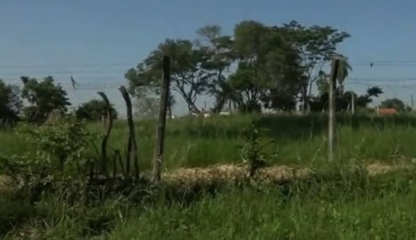 Vecinos de Fernando de la Mora piden a la Municipalidad limpiar patios baldíos - ADN Digital