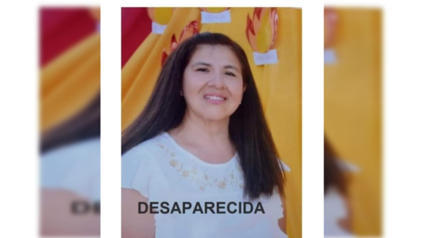 Ingresó al país y desapareció: piden ayuda para encontrarla