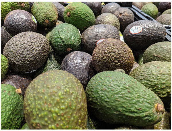El Super Bowl contará con 10.000 toneladas de aguacates de Jalisco - El Independiente