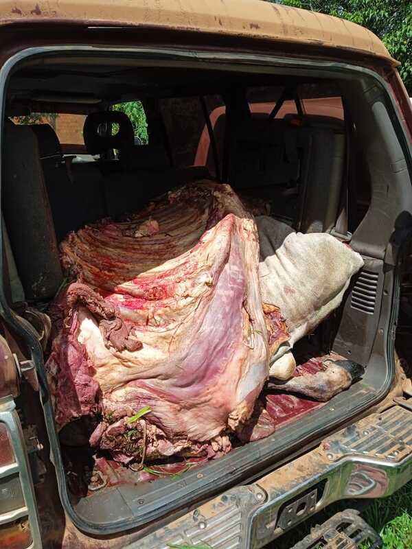 Detienen a dos presuntos abigeos con una camioneta llena de carne recién faenada | 1000 Noticias
