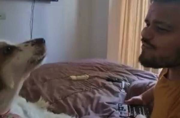 [VIDEO] Perrita aprende a cantar con su amo, el cantante Héctor Candia