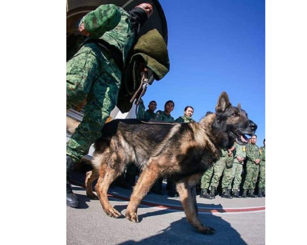 Ma’ena murió uno de los jagua’i que andaba rescantado a prójimos en Turquía