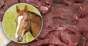 La Nación / Es legal comercializar carne equina