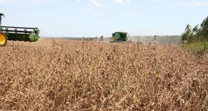Se intensifica el ritmo de la cosecha de soja en varios departamentos del país