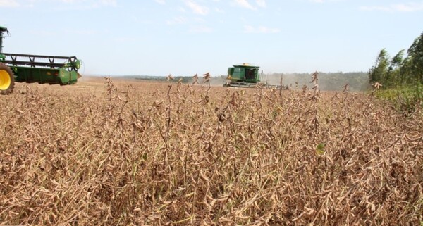 Se intensifica el ritmo de la cosecha de soja en varios departamentos del país