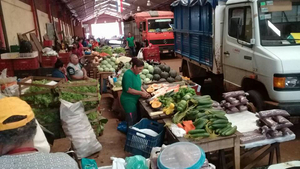 Hortigranjeros celebran 26 años de la feria que les sacó de la pobreza - La Clave