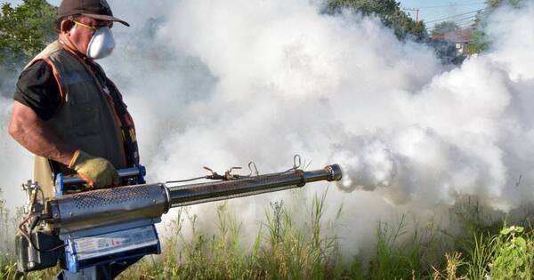 La Nación / Fumigar no es solución, cortar el ciclo del mosquito eliminando el criadero sí, afirman