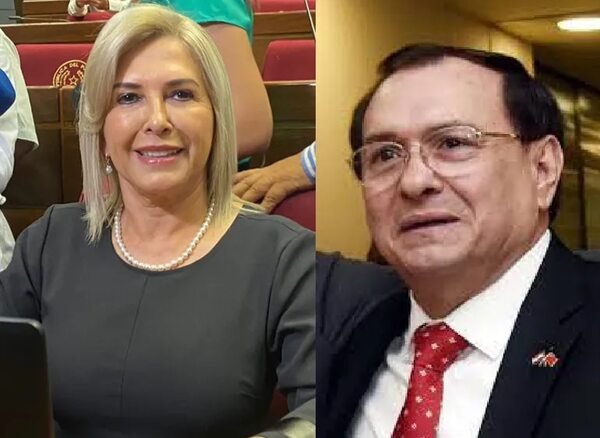 Senado designa a colorado oficialista Retamozo y liberal Alvarenga para el JEM - Política - ABC Color