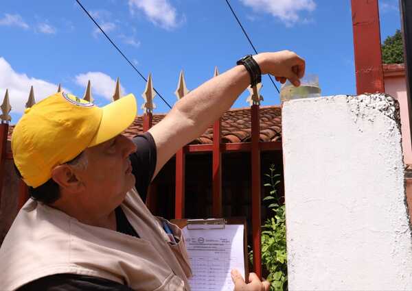 Sepa cuáles son los factores que se deben erradicar para evitar los criaderos de mosquitos - .::Agencia IP::.