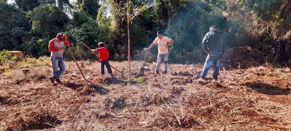 Nativos sup. alquilan sus tierras y Caciques se apropian del ingreso económico