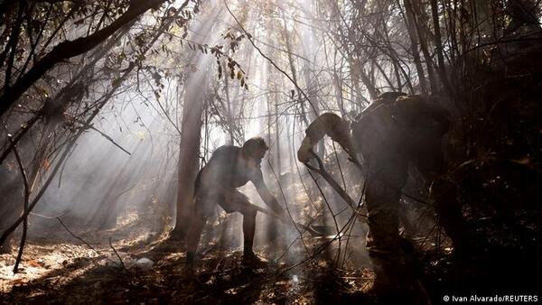 Continúa la preocupación por los incesantes incendios en Chile
