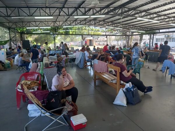IPS: llamativas cifras de reposos a causa del dengue - Nacionales - ABC Color