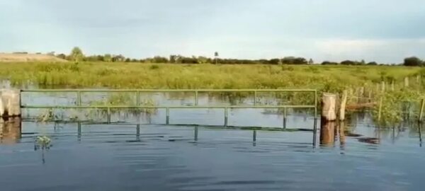 Lluvias continuas en Alto Paraguay dificultan campaña de vacunación contra fiebre aftosa - Noticias del Chaco - ABC Color