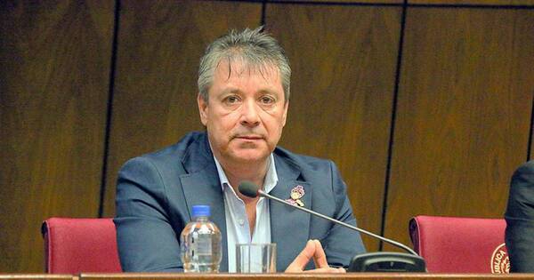 La Nación / Nula unidad: diputado reconoce que no logra conversar con Efraín Alegre