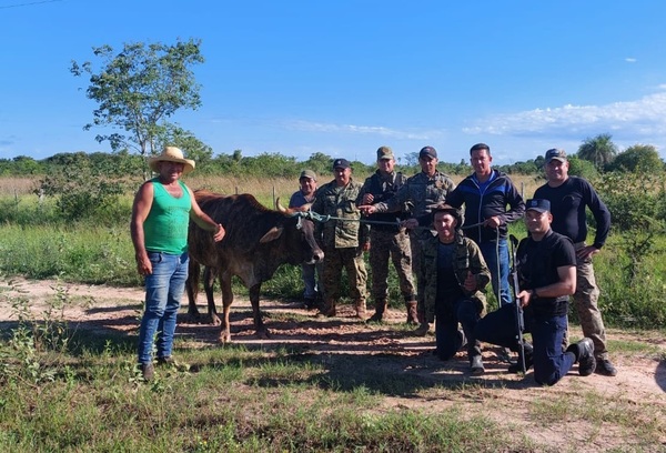 Policía recupera un vacuno a punto de ser faenado
