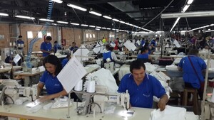 El envío de productos industriales va ganando mayor participación en el comercio exterior | Locales | 5Días