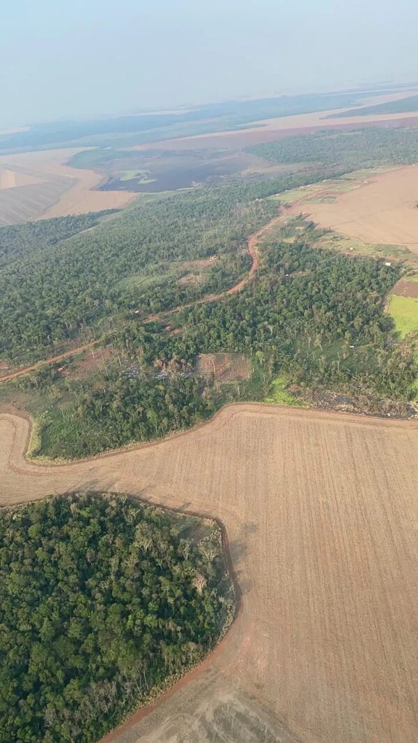 Confirman que narcos operan una pista clandestina con la protección de indígenas - Nacionales - ABC Color
