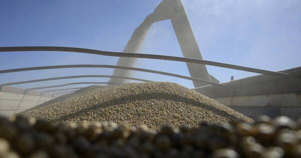 La Nación / Precios de la soja podrían mantenerse al alza debido a las pérdidas en la cosecha argentina