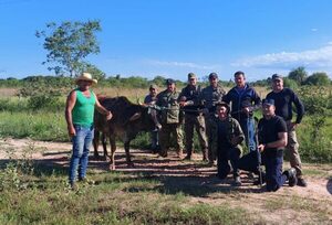 Loreto: Policía recupera un vacuno a punto de ser faenado