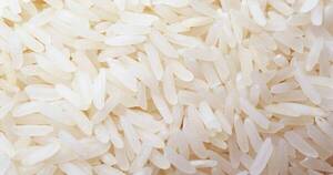 La Nación / México oficializa requisitos para importar arroz pulido