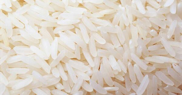 La Nación / México oficializa requisitos para importar arroz pulido